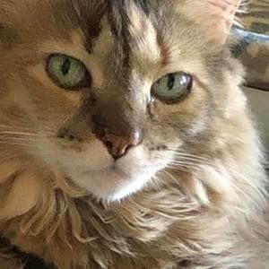 Meet your Posher, Glenda